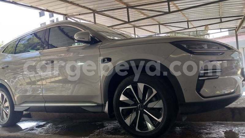 Big with watermark byd g6 ethiopia addis ababa 13535