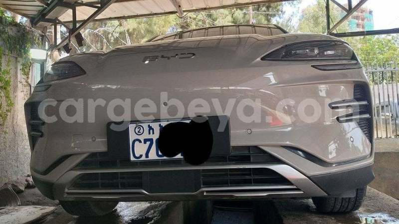 Big with watermark byd g6 ethiopia addis ababa 13535