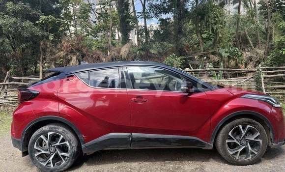 Buy Used Toyota C-HR Red Car in Addis–Ababa in Ethiopia Buy Used Toyota C-HR Red Car in Addis–Ababa in Ethiopia