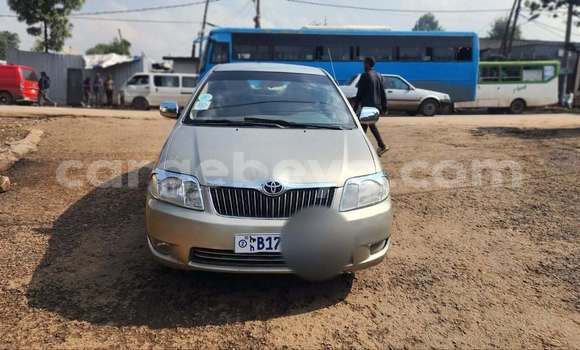 ይግዙ ያገለገለ Toyota Corolla ሌላ መኪና በ Addis ababa በ Africa ይግዙ ያገለገለ Toyota Corolla ሌላ መኪና በ Addis ababa በ Africa
