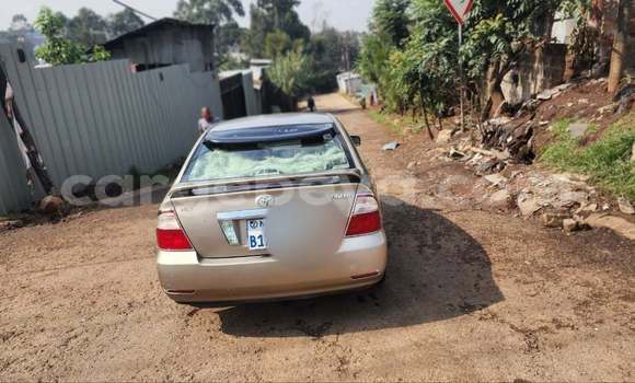 ይግዙ ያገለገለ Toyota Corolla ሌላ መኪና በ Addis ababa በ Africa ይግዙ ያገለገለ Toyota Corolla ሌላ መኪና በ Addis ababa በ Africa