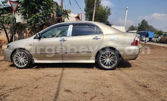 ይግዙ ያገለገለ Toyota Corolla ሌላ መኪና በ Addis ababa በ Africa ይግዙ ያገለገለ Toyota Corolla ሌላ መኪና በ Addis ababa በ Africa