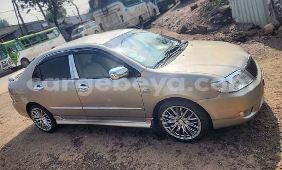 ይግዙ ያገለገለ Toyota Corolla ሌላ መኪና በ Addis ababa በ Africa ይግዙ ያገለገለ Toyota Corolla ሌላ መኪና በ Addis ababa በ Africa