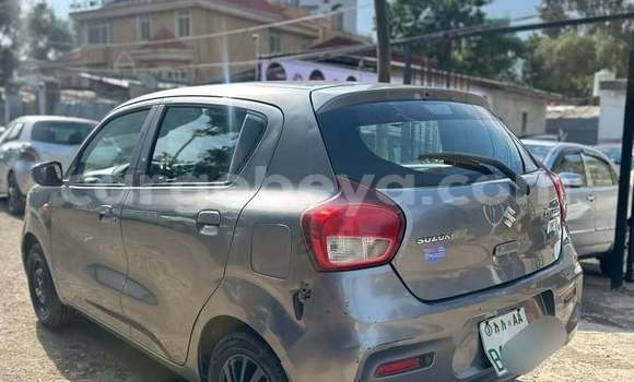 ይግዙ ያገለገለ Suzuki Celerio ሌላ መኪና በ አዲስ አበባ በ ኢትዮጵያ ይግዙ ያገለገለ Suzuki Celerio ሌላ መኪና በ አዲስ አበባ በ ኢትዮጵያ