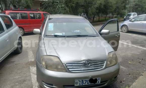 ይግዙ ያገለገለ Toyota Corolla ሌላ መኪና በ አዲስ አበባ በ ኢትዮጵያ ይግዙ ያገለገለ Toyota Corolla ሌላ መኪና በ አዲስ አበባ በ ኢትዮጵያ