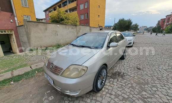 ይግዙ ያገለገለ Toyota Corolla ሌላ መኪና በ አዲስ አበባ በ ኢትዮጵያ ይግዙ ያገለገለ Toyota Corolla ሌላ መኪና በ አዲስ አበባ በ ኢትዮጵያ
