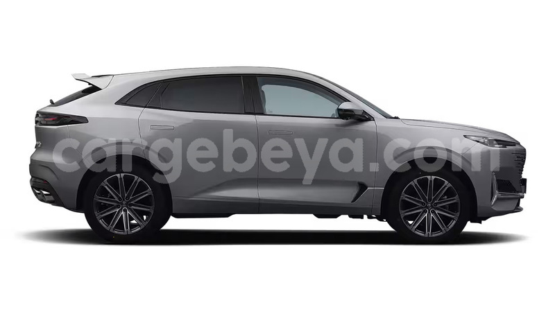 Big with watermark changan z shine oromia bedele 13569