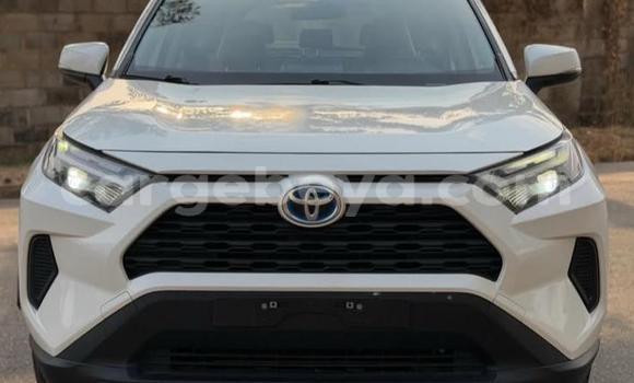 Buy Used Toyota RAV4 White Car in Addis ababa in Africa
