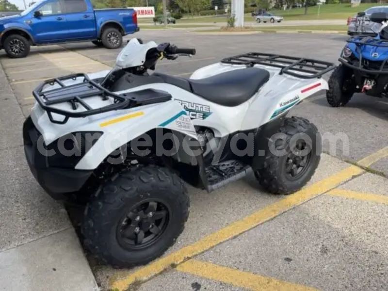 Big with watermark kawasaki brute force ethiopia addiet canna 13585