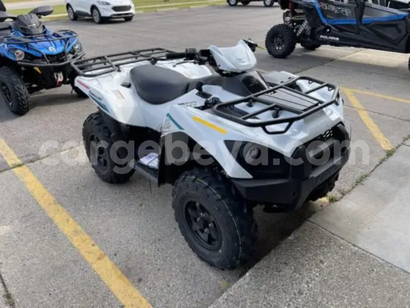 Big with watermark kawasaki brute force ethiopia addiet canna 13585