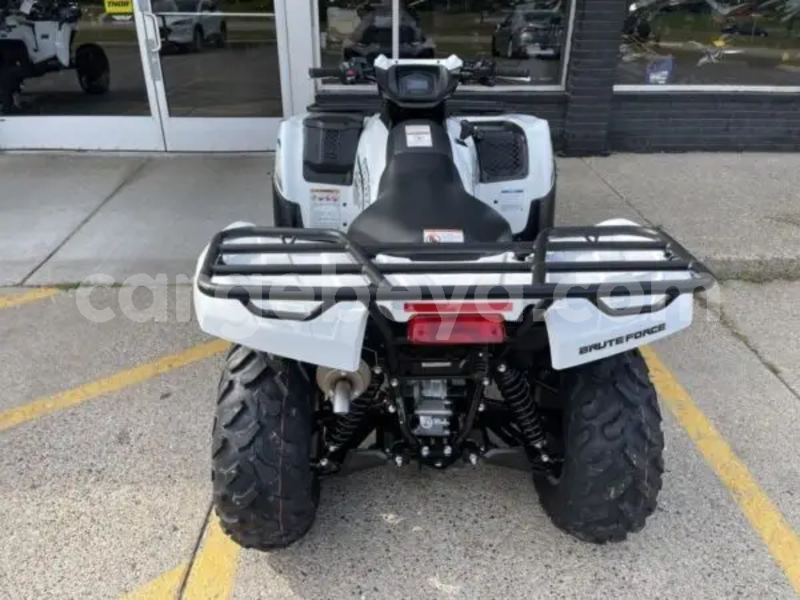 Big with watermark kawasaki brute force ethiopia addiet canna 13585