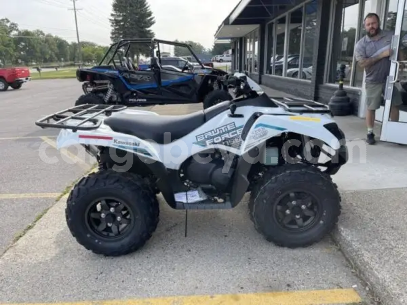 Big with watermark kawasaki brute force ethiopia addiet canna 13585
