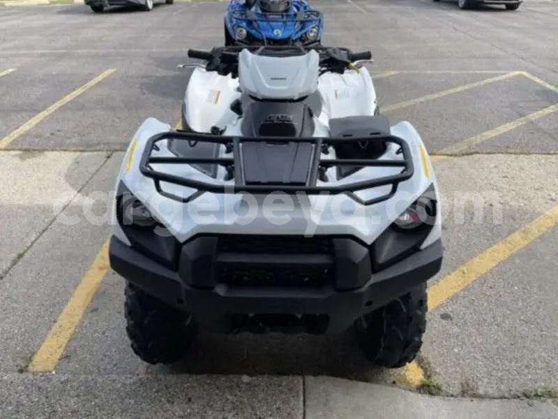 Big with watermark kawasaki brute force ethiopia addiet canna 13585