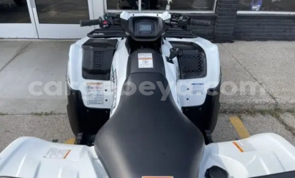 ይግዙ አዲስ Kawasaki Brute Force ነጭ ሞተር በ አቢይቲ–ካና በ ኢትዮጵያ ይግዙ አዲስ Kawasaki Brute Force ነጭ ሞተር በ አቢይቲ–ካና በ ኢትዮጵያ