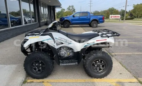 ይግዙ አዲስ Kawasaki Brute Force ነጭ ሞተር በ አቢይቲ–ካና በ ኢትዮጵያ ይግዙ አዲስ Kawasaki Brute Force ነጭ ሞተር በ አቢይቲ–ካና በ ኢትዮጵያ