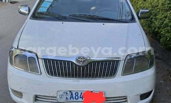 Oofamaa Toyota Corolla White Makiinaa iti Addis ababa keessatti Africa keessatti