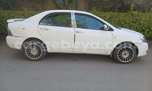 Oofamaa Toyota Corolla White Makiinaa iti Addis ababa keessatti Africa keessatti Oofamaa Toyota Corolla White Makiinaa iti Addis ababa keessatti Africa keessatti