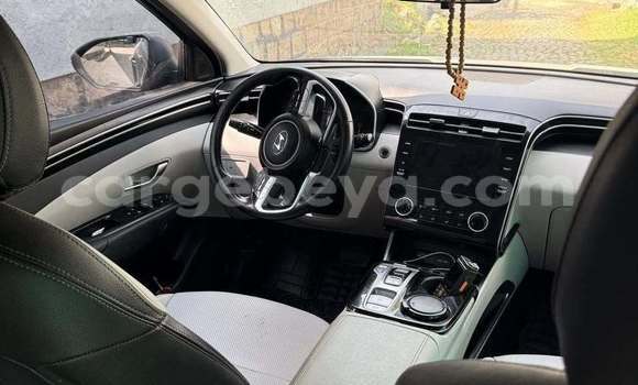 Oofamaa Hyundai Tucson Other Makiinaa iti Addis–Ababa keessatti Ethiopia keessatti Oofamaa Hyundai Tucson Other Makiinaa iti Addis–Ababa keessatti Ethiopia keessatti