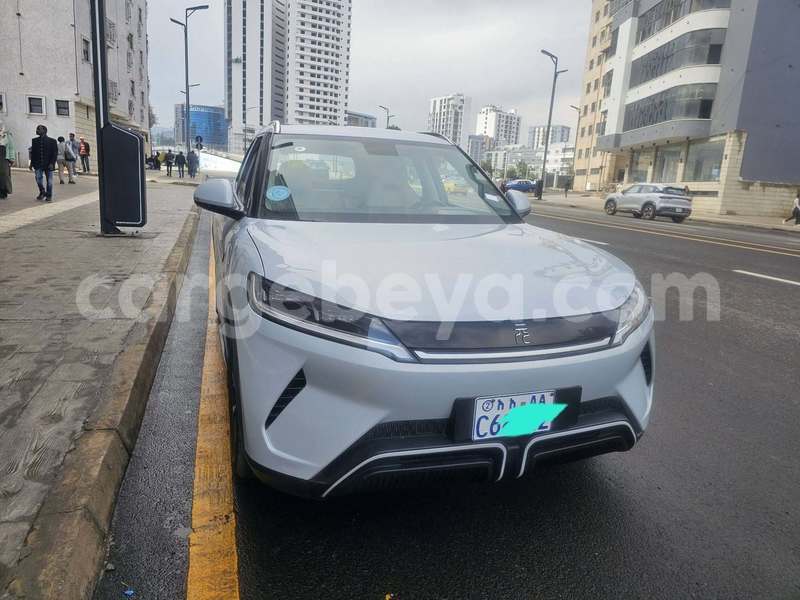Big with watermark byd yuan pro ethiopia addis ababa 13607
