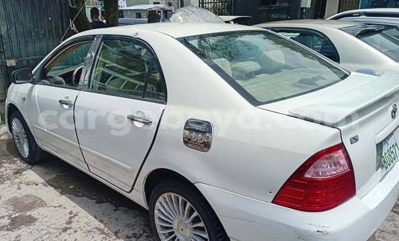 Oofamaa Toyota Corolla White Makiinaa iti Addis–Ababa keessatti Ethiopia keessatti