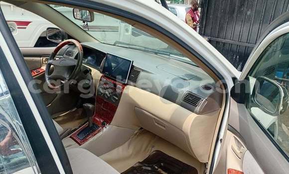 Oofamaa Toyota Corolla White Makiinaa iti Addis–Ababa keessatti Ethiopia keessatti Oofamaa Toyota Corolla White Makiinaa iti Addis–Ababa keessatti Ethiopia keessatti