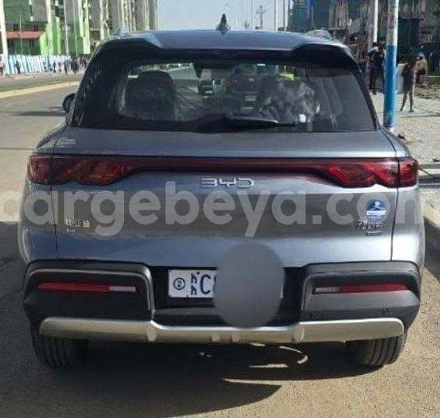 Big with watermark byd yuan pro ethiopia addis ababa 13616