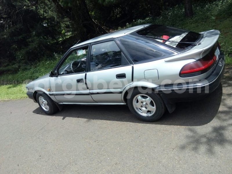 Big with watermark 14322753 152041765249206 4084601271133145777 n