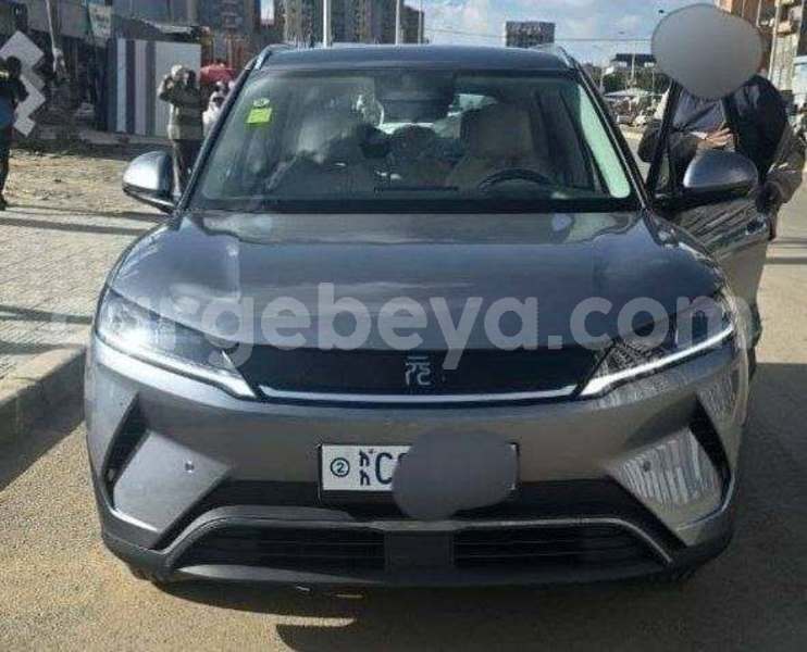 Big with watermark byd yuan pro ethiopia addis ababa 13616