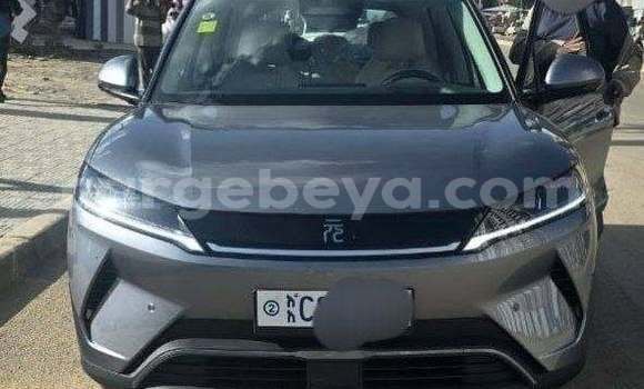 Oofamaa BYD Yuan pro Other Makiinaa iti Addis–Ababa keessatti Ethiopia keessatti Oofamaa BYD Yuan pro Other Makiinaa iti Addis–Ababa keessatti Ethiopia keessatti