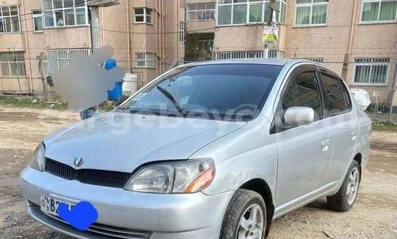 Oofamaa Toyota Platz Other Makiinaa iti Addigrat keessatti Tigray keessatti Oofamaa Toyota Platz Other Makiinaa iti Addigrat keessatti Tigray keessatti