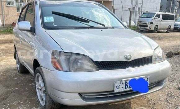 Oofamaa Toyota Platz Other Makiinaa iti Addigrat keessatti Tigray keessatti Oofamaa Toyota Platz Other Makiinaa iti Addigrat keessatti Tigray keessatti