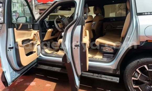 Oofamaa Toyota Land Cruiser White Makiinaa iti Addis ababa keessatti Africa keessatti Oofamaa Toyota Land Cruiser White Makiinaa iti Addis ababa keessatti Africa keessatti