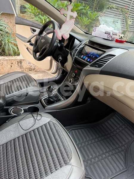 Big with watermark hyundai elantra africa addis ababa 13623