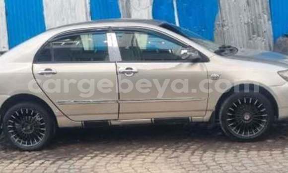 Buy Used Toyota Corolla Other Car in Addis ababa in Africa