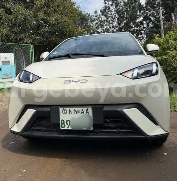 Big with watermark byd e6 ethiopia addis ababa 13629