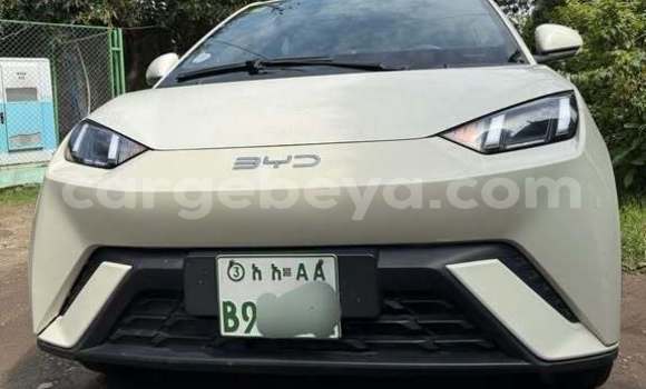 Buy Used BYD E6 Other Car in Addis–Ababa in Ethiopia