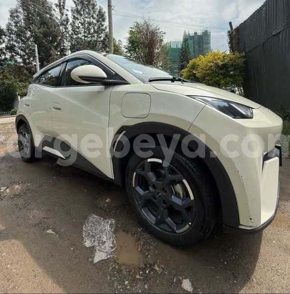 Big with watermark byd e6 ethiopia addis ababa 13629