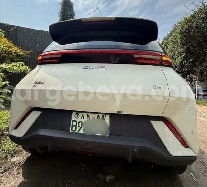 Big with watermark byd e6 ethiopia addis ababa 13629
