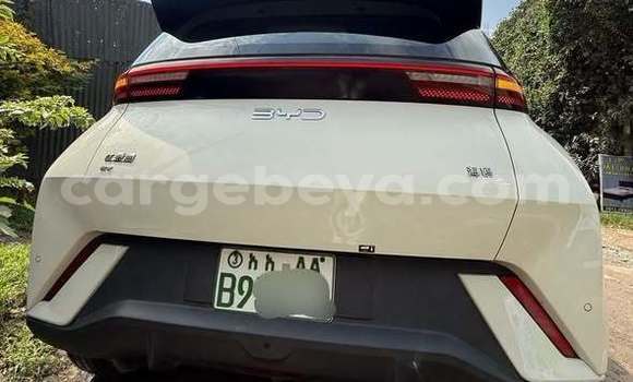 Buy Used BYD E6 Other Car in Addis–Ababa in Ethiopia Buy Used BYD E6 Other Car in Addis–Ababa in Ethiopia