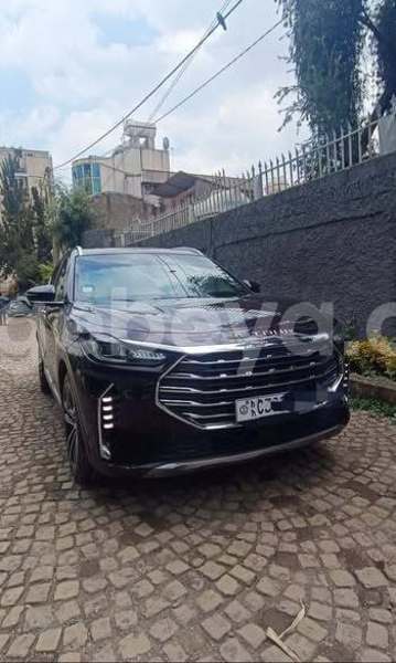 Big with watermark jensen interceptor africa addis ababa 13632