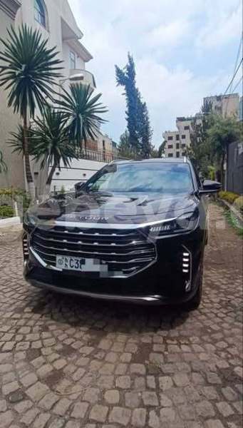 Big with watermark jensen interceptor africa addis ababa 13632
