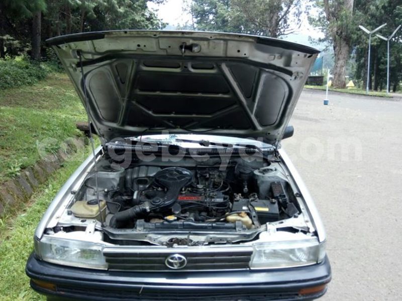 Big with watermark 14324596 10209113455147535 4826326470268354662 o