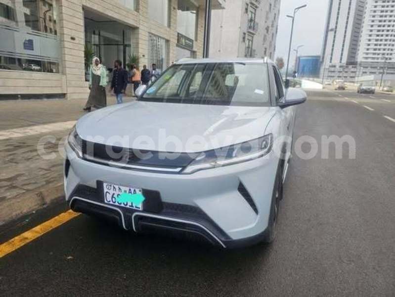 Big with watermark byd yuan pro africa addis ababa 13638