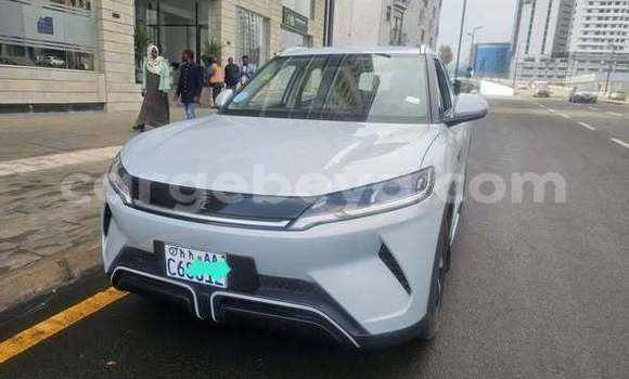 Buy Used BYD Yuan pro Other Car in Addis ababa in Africa