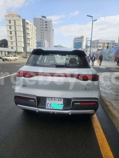 Big with watermark byd yuan pro africa addis ababa 13638