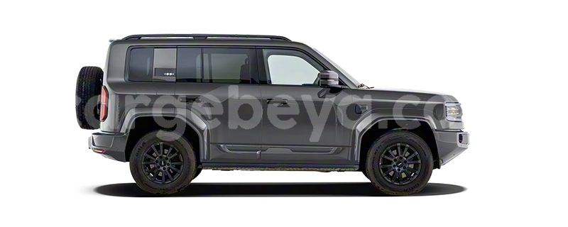 Big with watermark byd f5 ethiopia addis ababa 13643