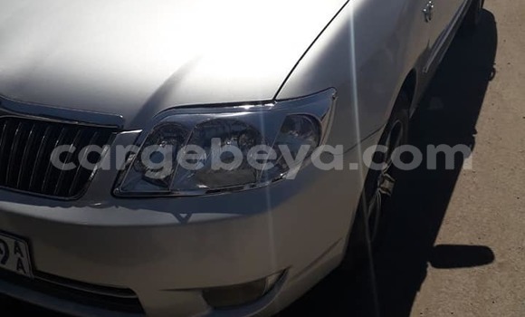 Buy Used Toyota Corolla Silver Car in Addis–Ababa in Ethiopia Buy Used Toyota Corolla Silver Car in Addis–Ababa in Ethiopia