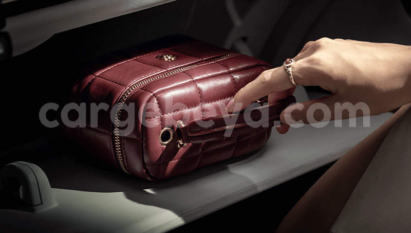 Big with watermark changan z shine southern bonga 13645