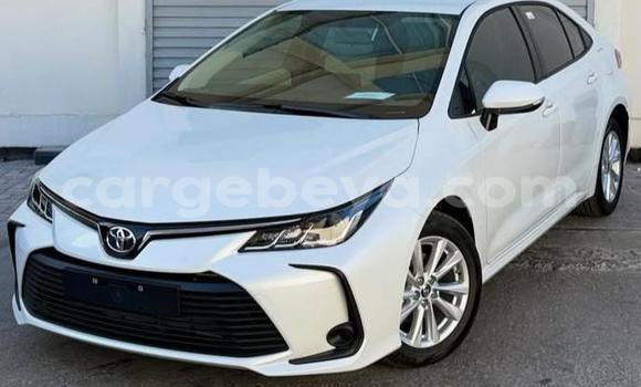 Buy Used Toyota Corolla White Car in Addis ababa in Africa