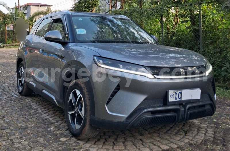 Big with watermark byd yuan pro ethiopia addis ababa 13661